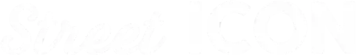 street icon logo white